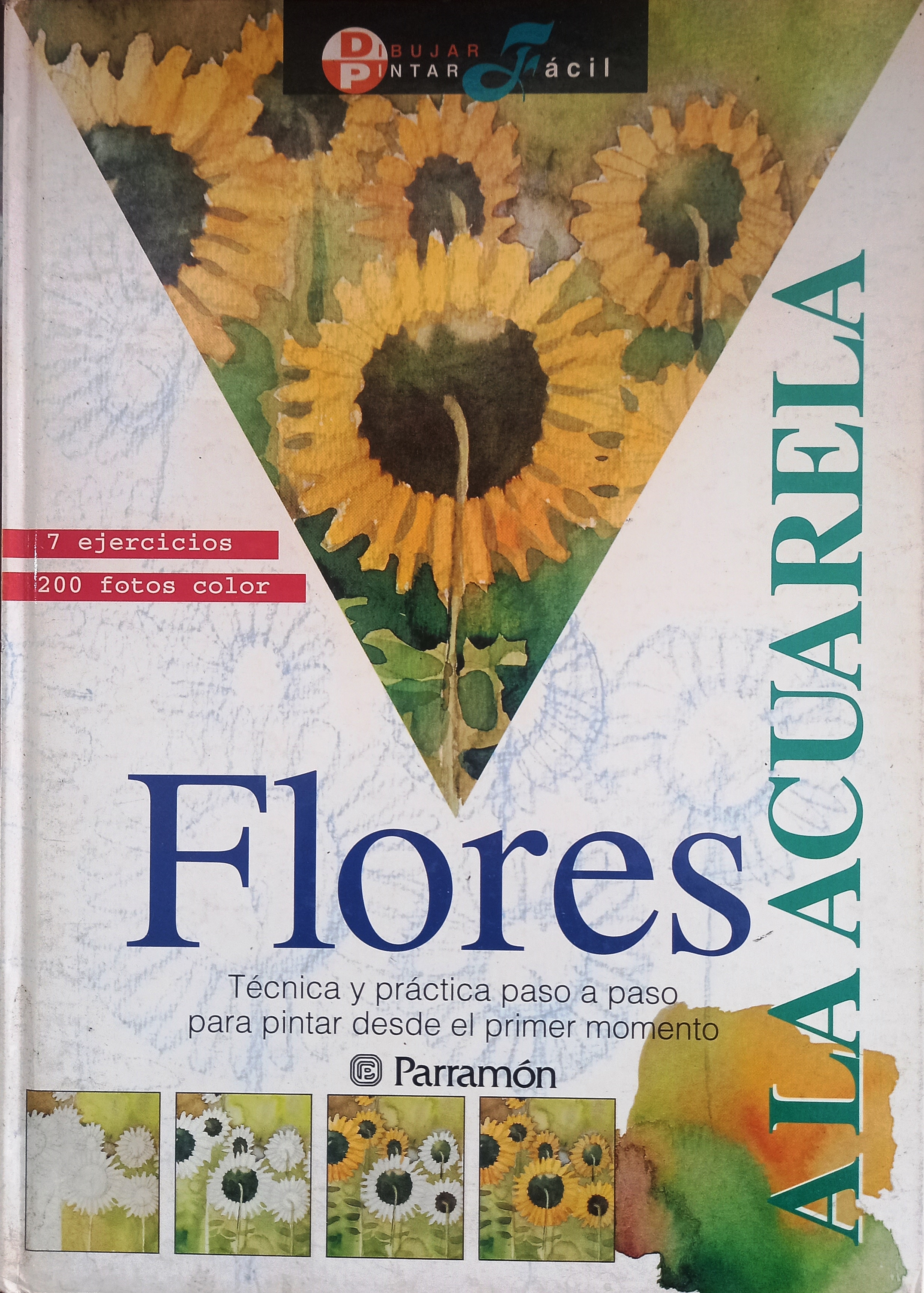 Flores a La Acuarela - Jordi Vigué
