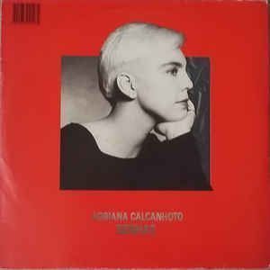 O Que Há por Dentro? Insetos - Varios