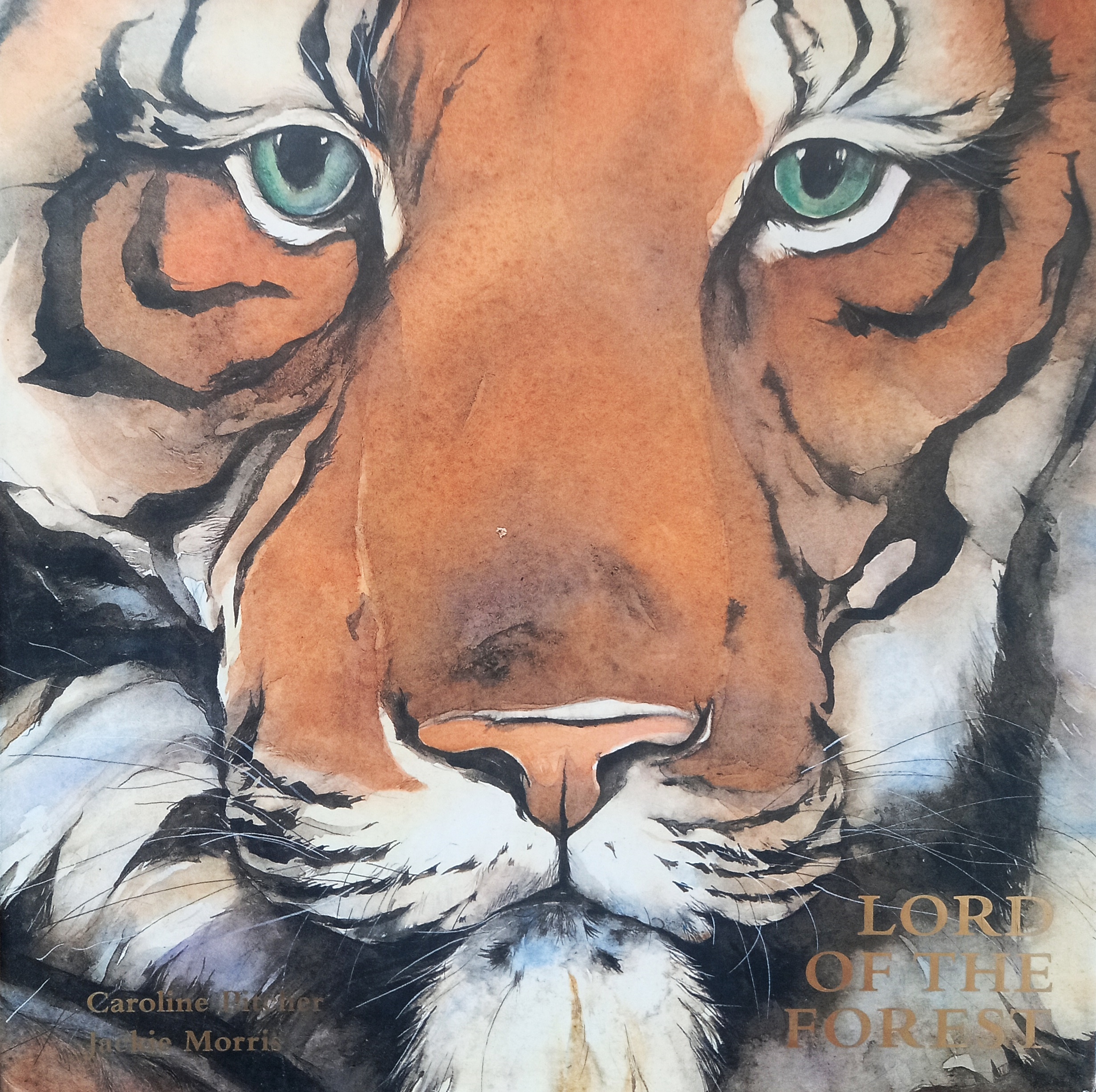 Lord of the Forest - Caroline Pitcher