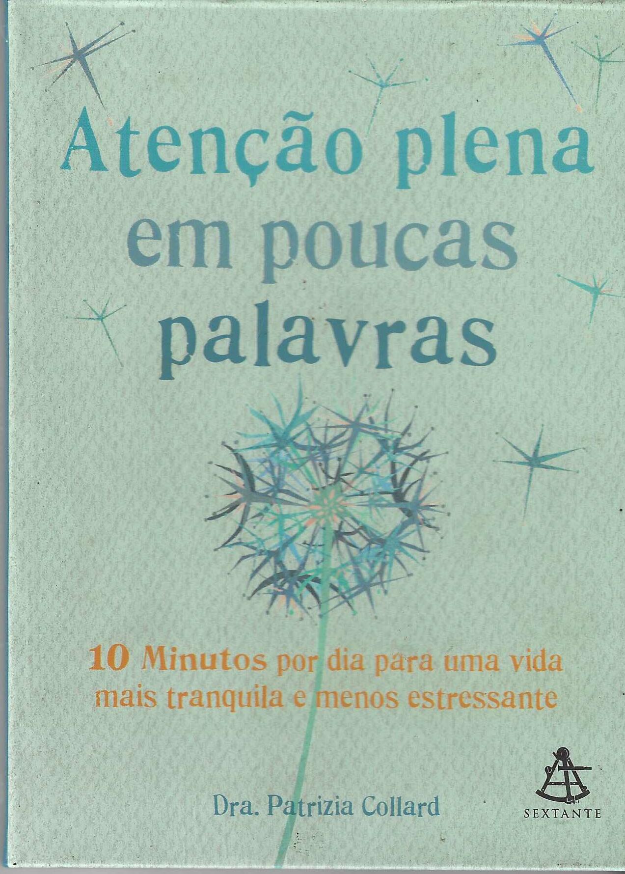 Atençao Plena Em Poucas Palavras - Patrizia Collard