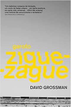 Garoto Zigue-zague - David Grossman