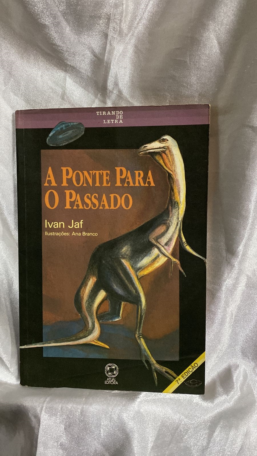 A Ponte para o Passado- (estado de Novo) - Ivan Jaf