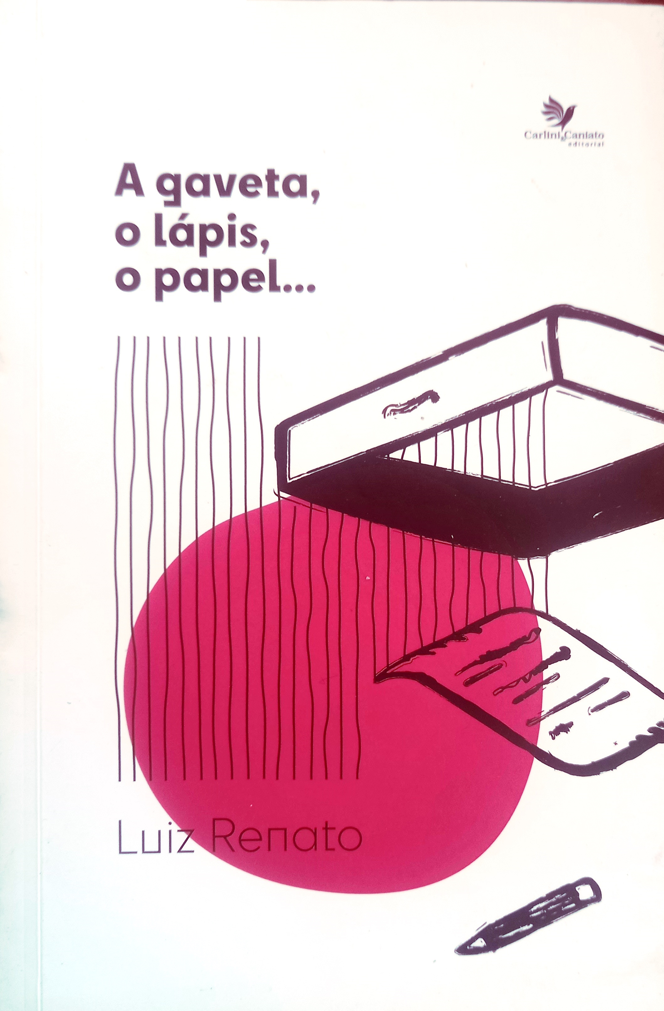 A Gaveta, o lápis, o papel - Luiz Renato