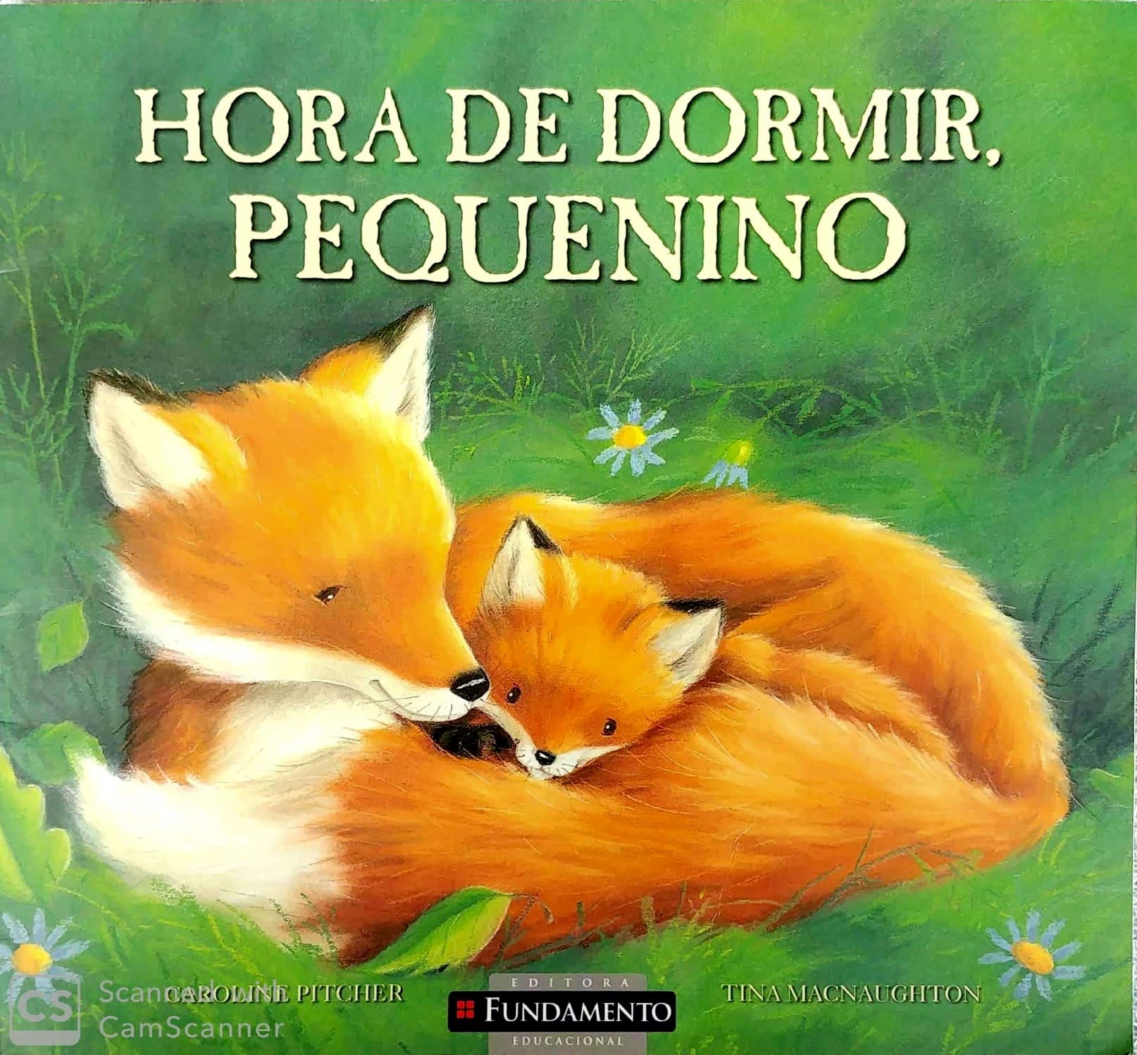 Hora de Dormir Pequenino - Caroline Pitcher + Tina Macnaughton