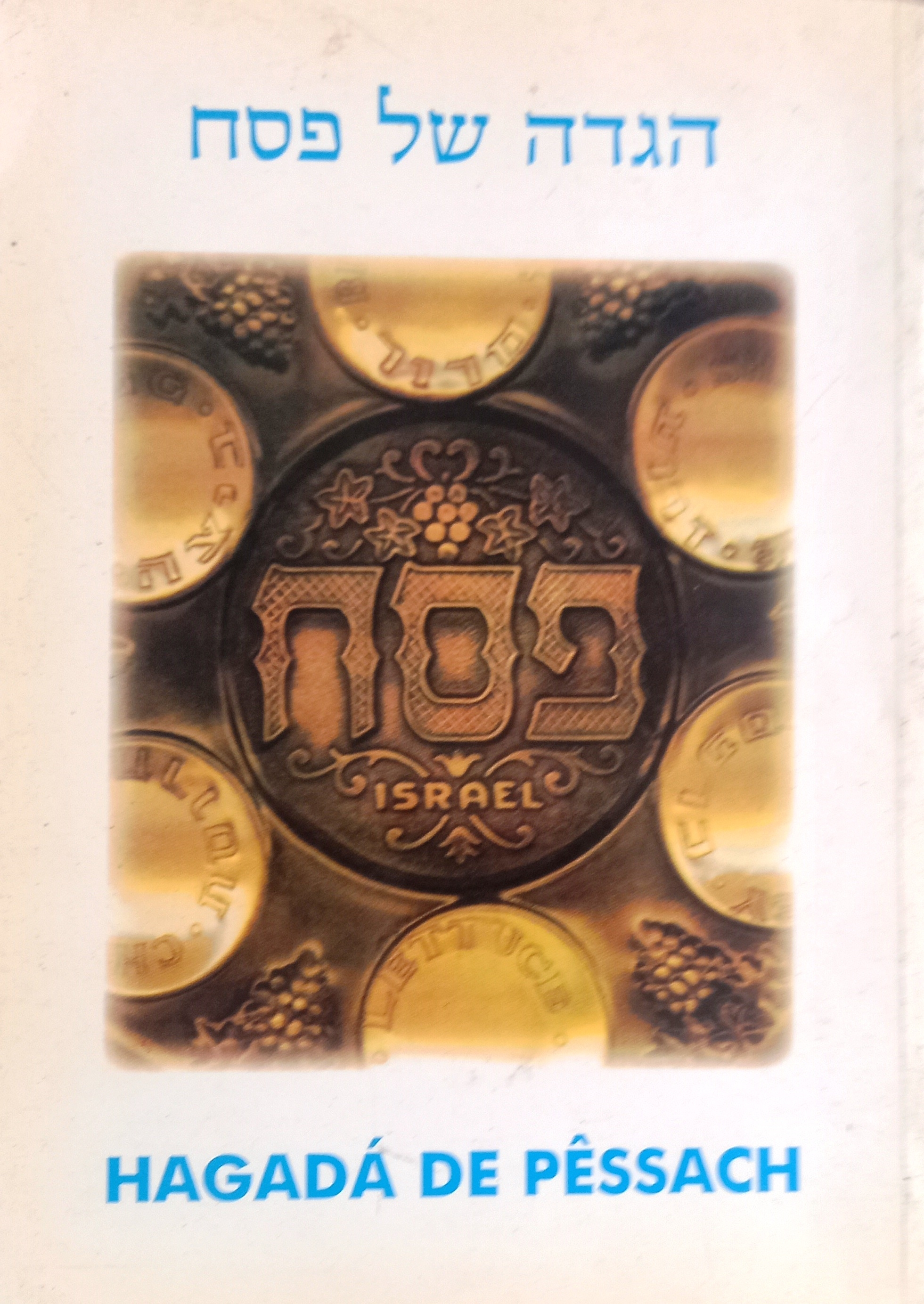 Hagadá de Pêssach (edição Especial Bilinguê) - Jairo Fridlin+Ruben Rosenberg 