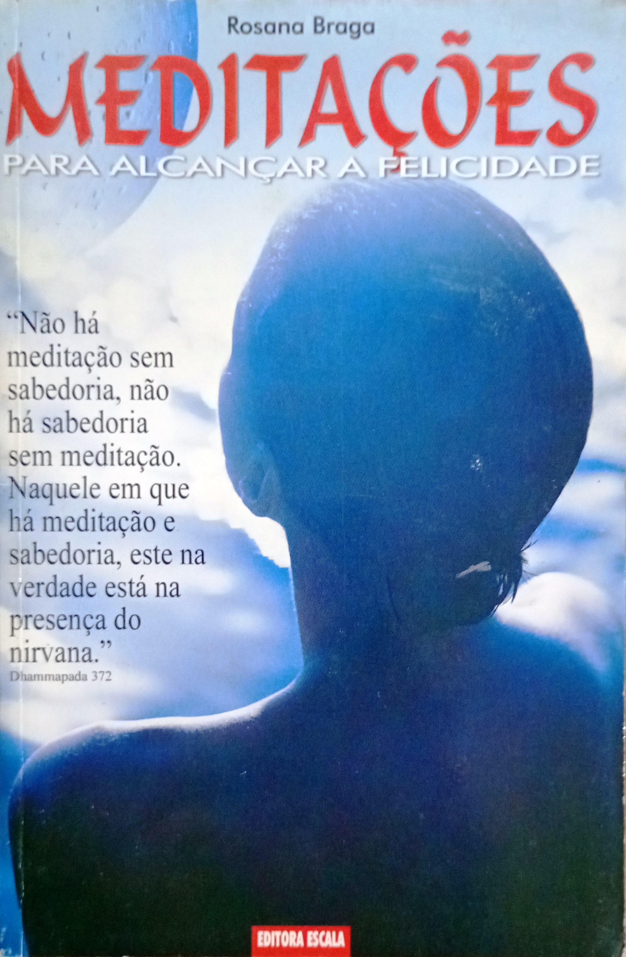 Meditações para alcançar a felicidade - Rosana Braga