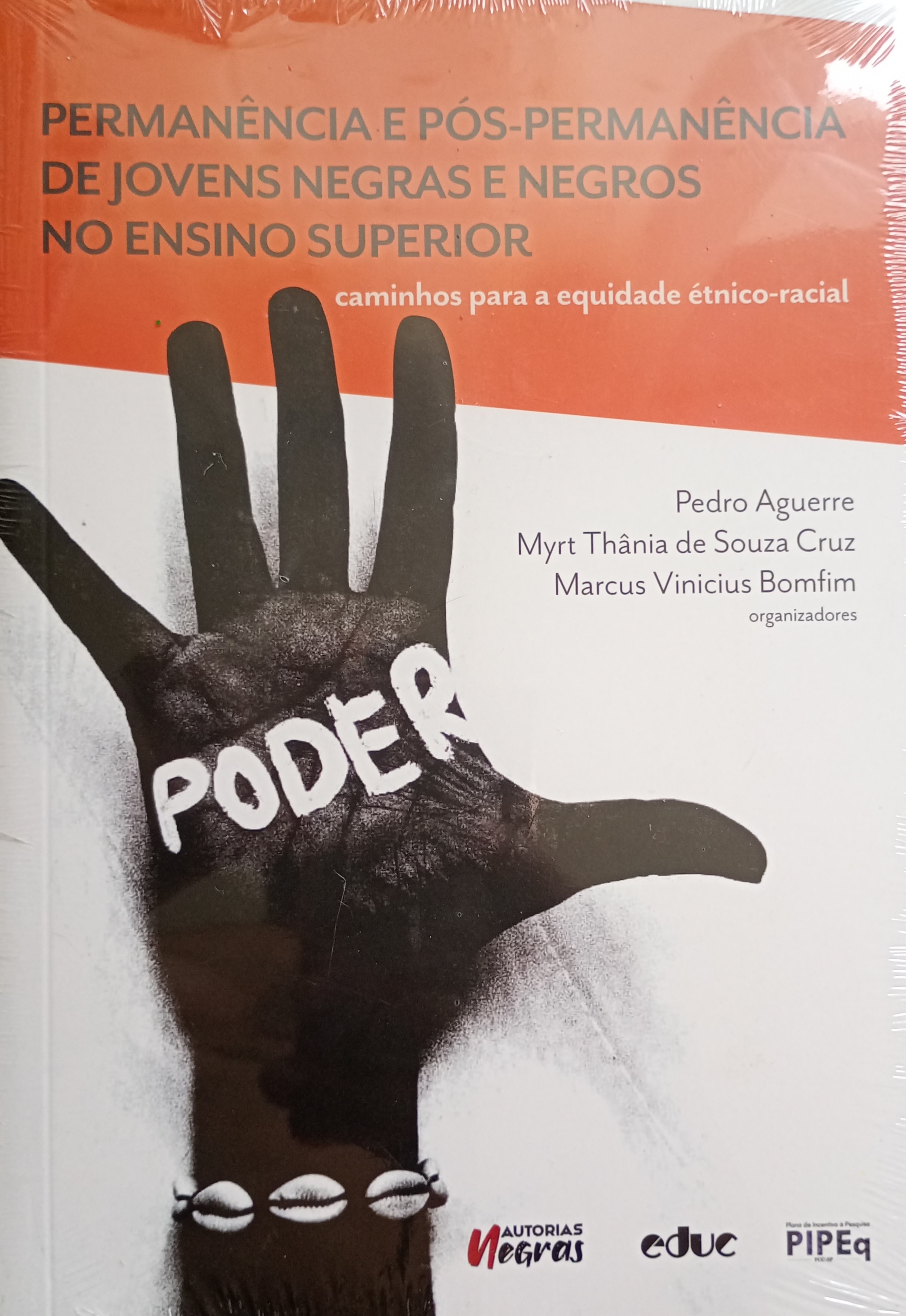 Permanência e pós-permanência de jovens negras e negros no ensino superior - Pedro Aguerre e outros