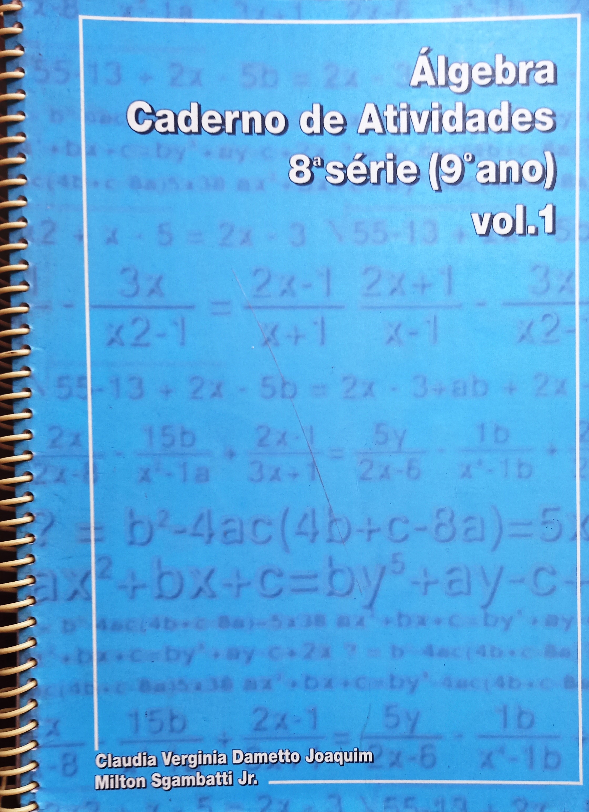 Algebra - Caderno de Atividades - 8ª Serie - 9º Ano - V. 01 - Claudia Vergini Dametto Joaquim