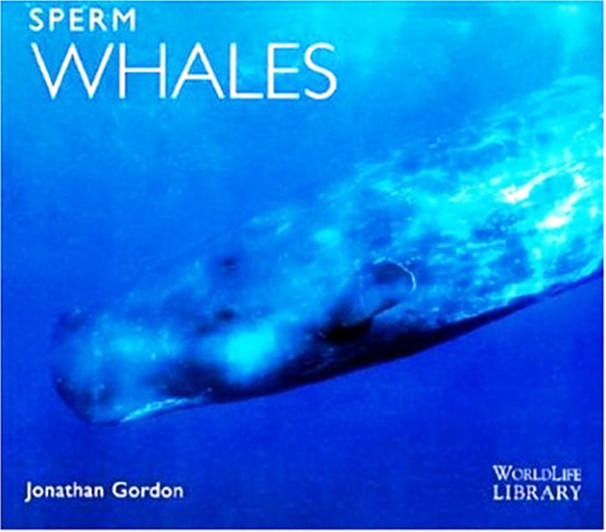 Sperm Whales (Capa Dura) - Jonathan Gordon