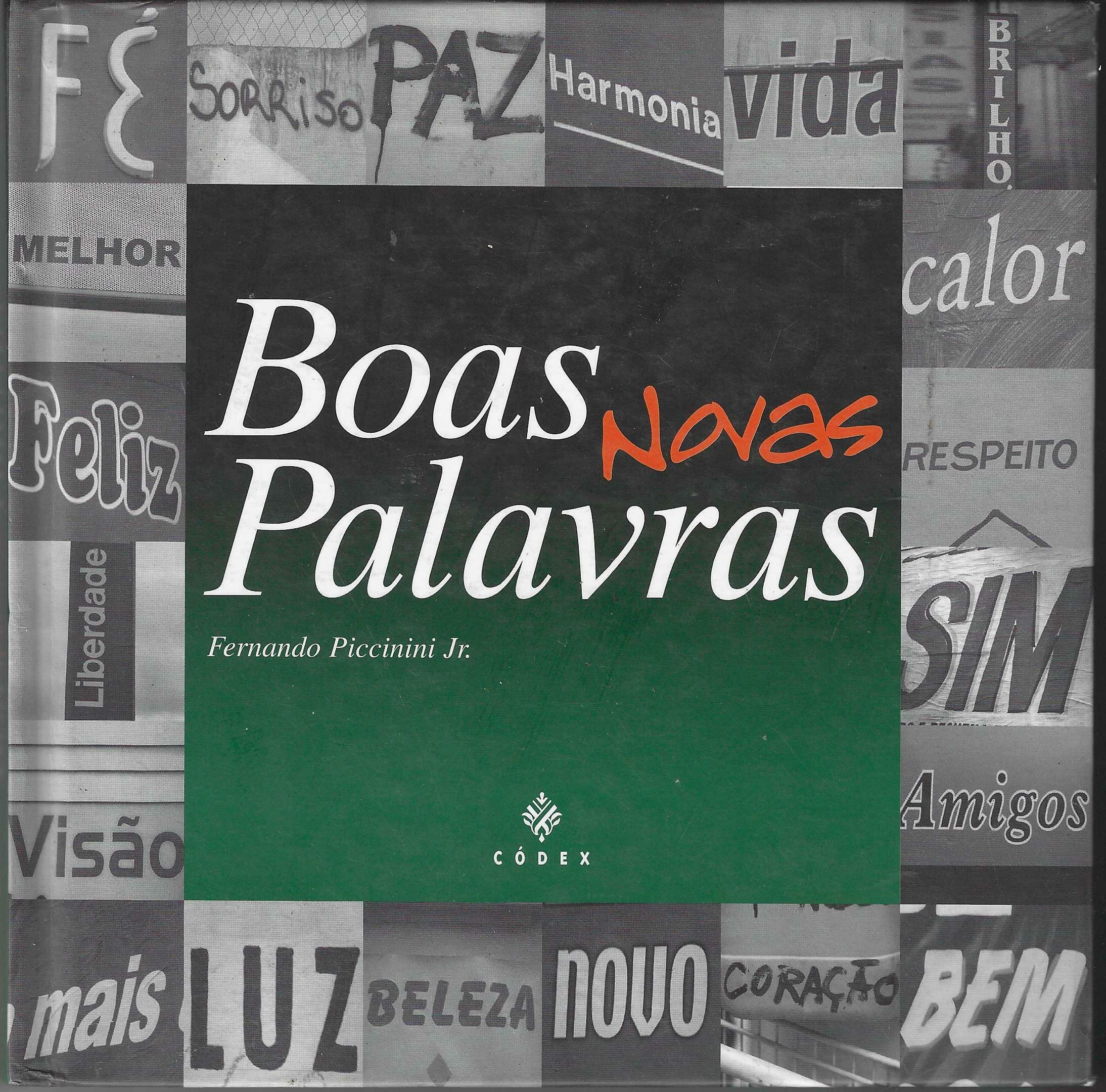 Boas Novas Palavras - (autografado) - Fernando Piccinini Jr.
