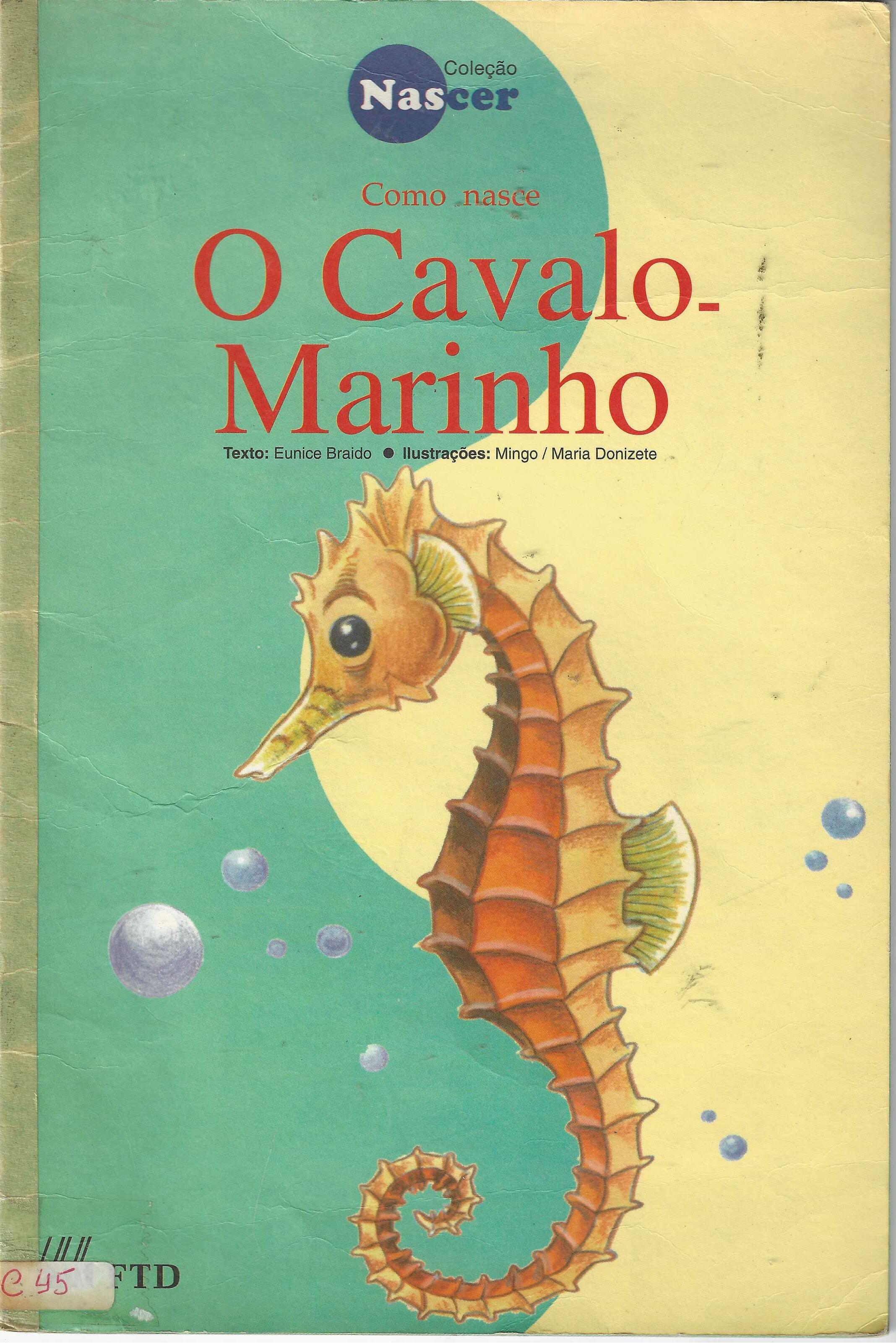Como Nasce o Cavalo Marinho - Eunice Braido 