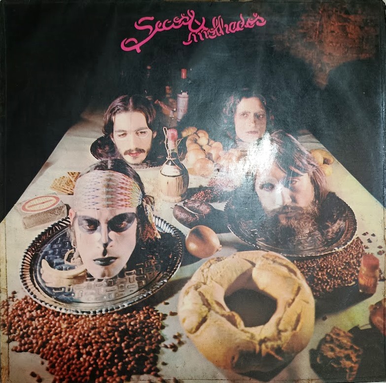 Disco de Vinil - Secos e Molhados - Secos e Molhados