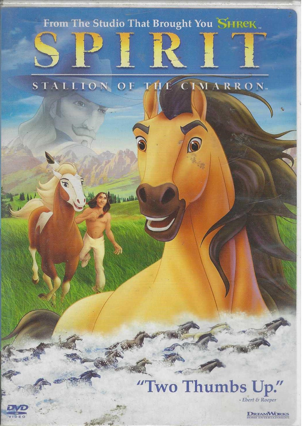 Dvd - Spirit Stallion Of The Cimarron - Dreamworks Animation
