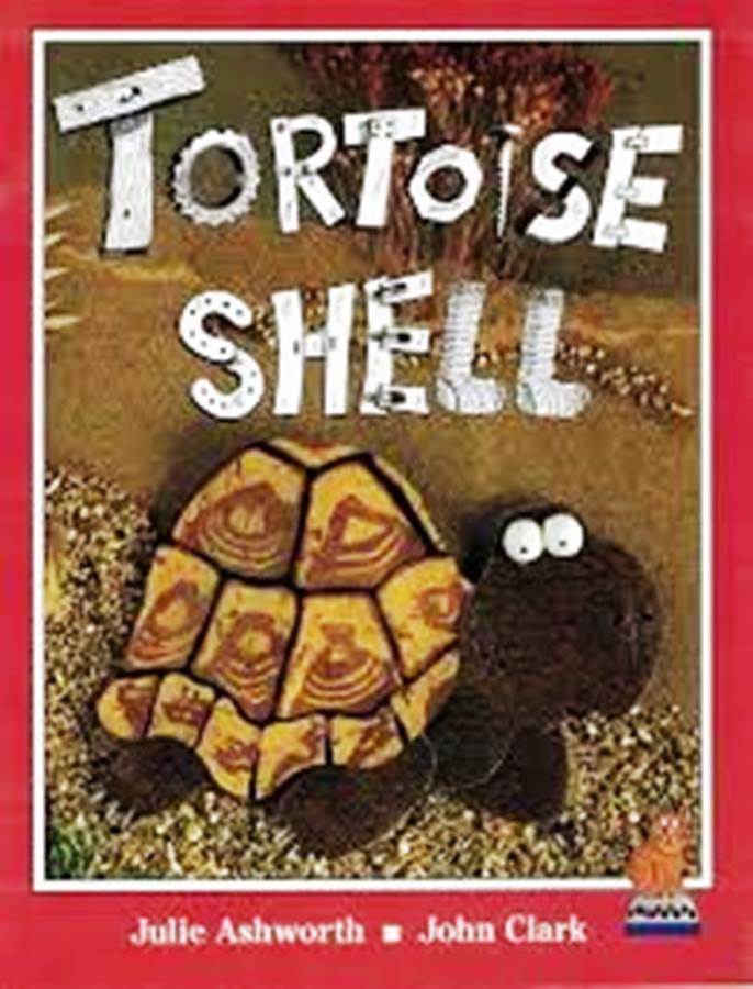 Footsteps Tortoise Shell Level 3 - Julie Ashworth + John Clark