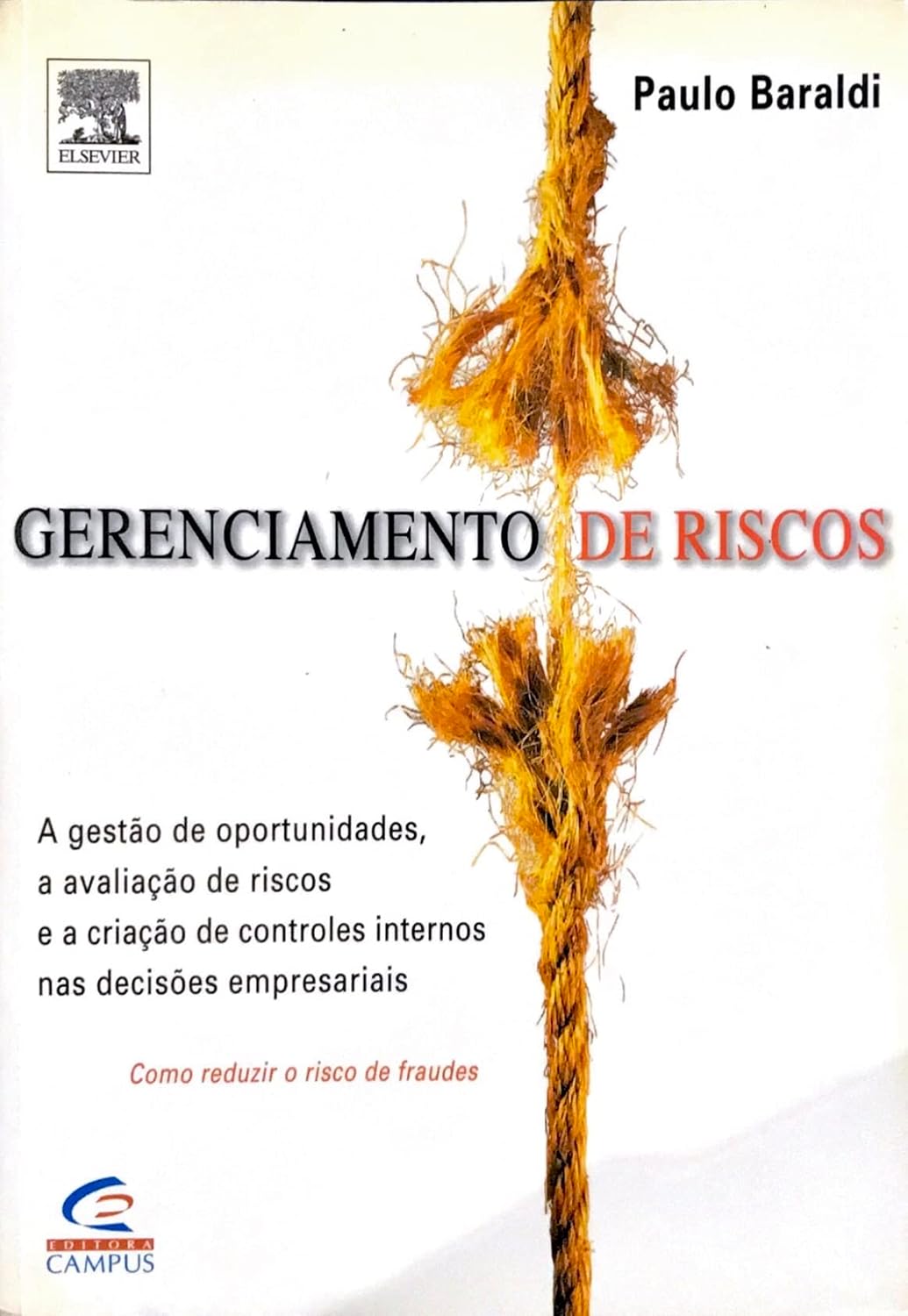Gerenciamento de Riscos - Baraldi