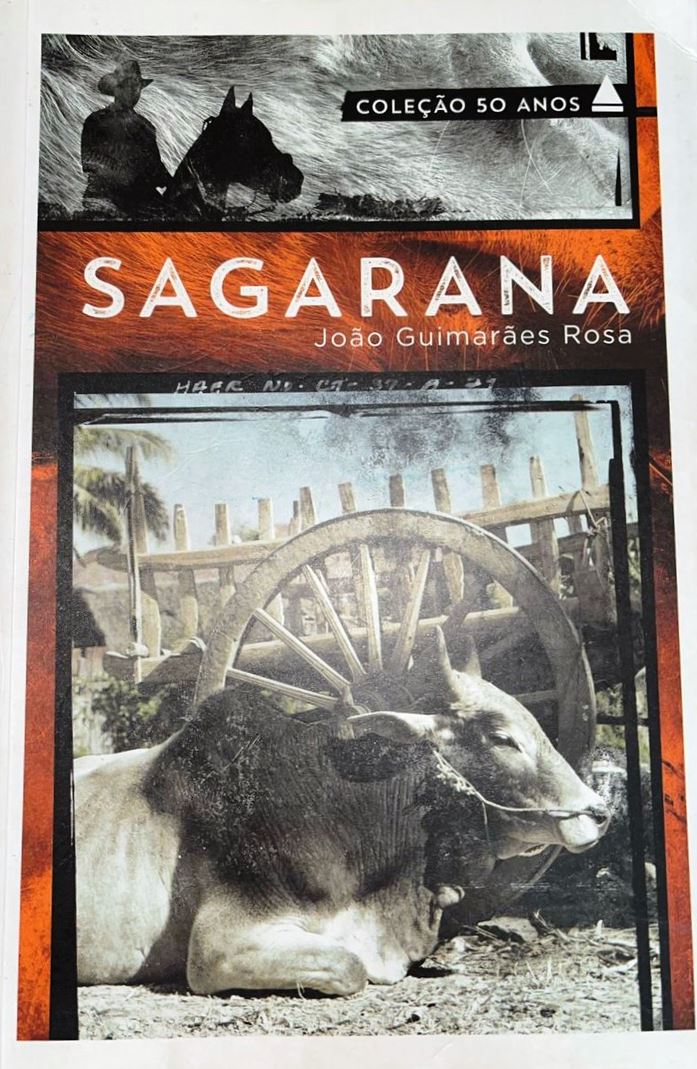 Sagarana - Rosa, João Guimarães