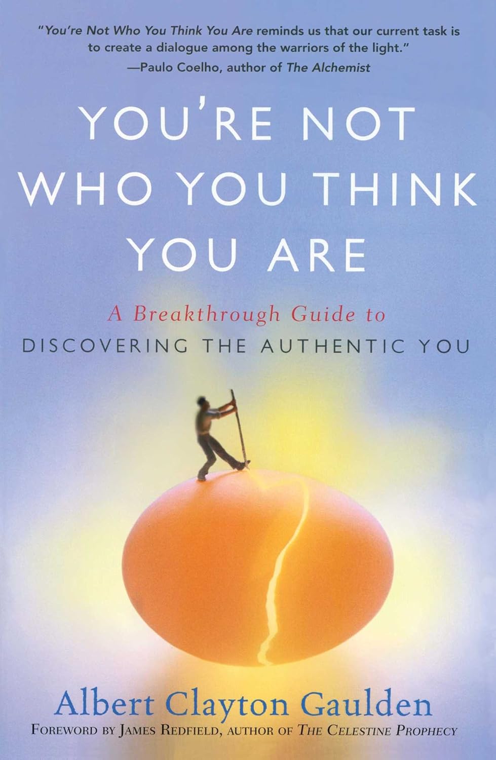 Youre Not Who You Think You Are: a Breakthrough Guide to Disc - Albert Clayton Gaulden James Redfield